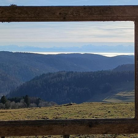 Апартаменти Sonnenstrahl Тодтмос Екстер'єр фото